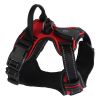 Light Up Dog Harness Rechargeable LED Dog Harness No Pull Lighted Dog Vest with Handle for Small/Medium/Large Dogs