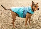 Touchdog Lightening-Shield Waterproof 2-in-1 Convertible Dog Jacket w/ Blackshark technology